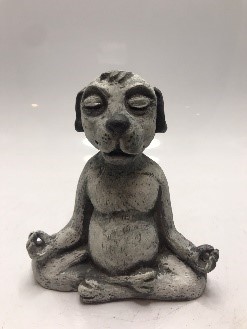 Meditating Dog