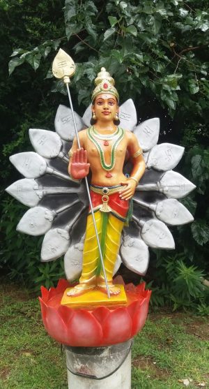 Murga 1M High