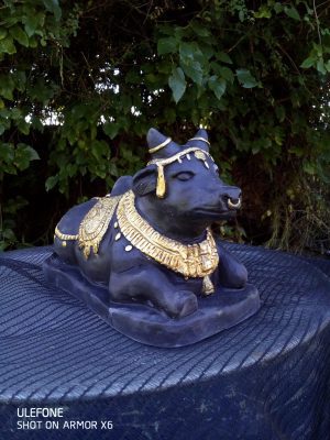 Nandi Black and Gold